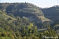 VBS_5719 - C'è un mare di velluto verde! E tu che sognavi di andare lontano... Quanta meraviglia, quì!